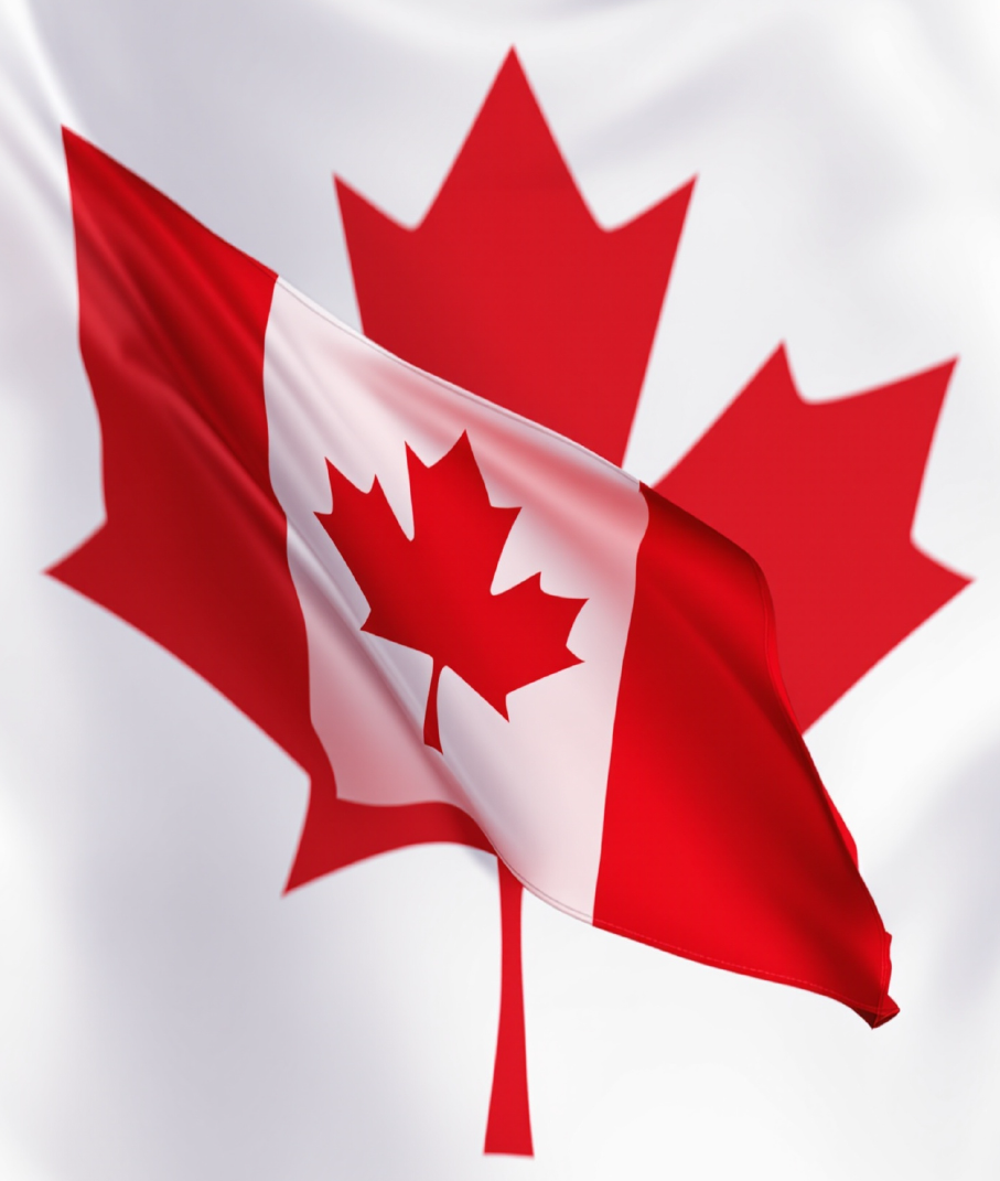 Screenshot 2025-11-15 184828